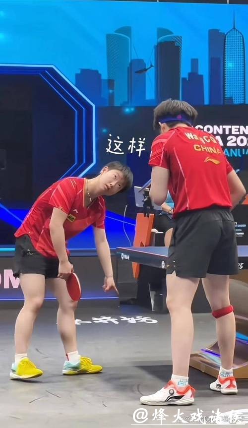 全程直播世界杯乒乓球精彩赛事